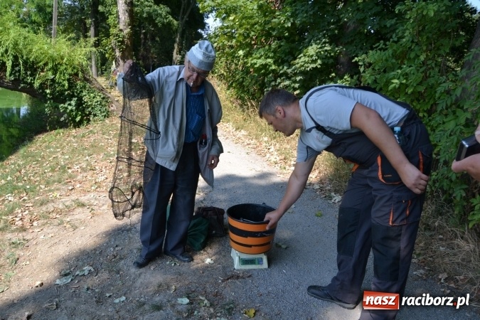 Zdjęcie w galerii na portalu naszraciborz.pl: Emeryci i renciści rywalizowali wczoraj o tytuł najlepszego wędkarza na zawodach w Tworkowie wiadomości z regionu