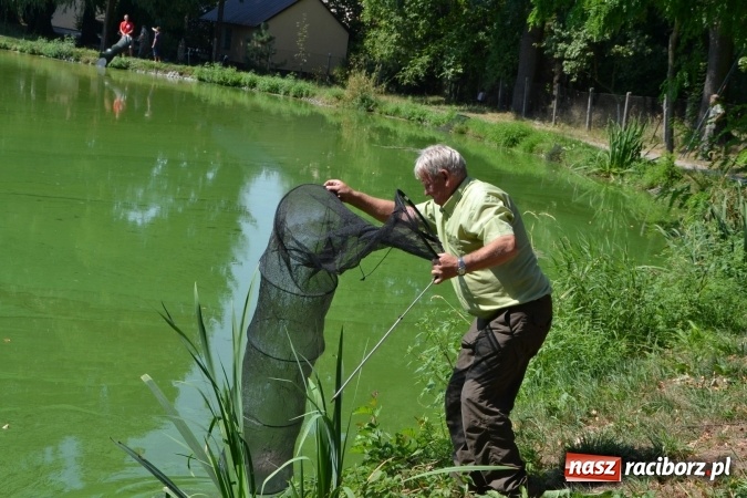 Zdjęcie w galerii na portalu naszraciborz.pl: Emeryci i renciści rywalizowali wczoraj o tytuł najlepszego wędkarza na zawodach w Tworkowie wiadomości z regionu