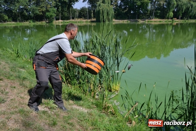 Zdjęcie w galerii na portalu naszraciborz.pl: Emeryci i renciści rywalizowali wczoraj o tytuł najlepszego wędkarza na zawodach w Tworkowie wiadomości z regionu