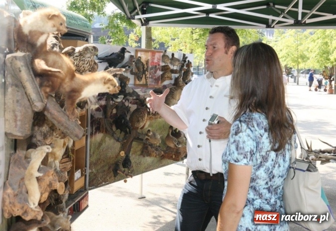 Zdjęcie w galerii na portalu naszraciborz.pl: Powiat Raciborski na Dniu Wędrownika w Niemczech wiadomości z regionu