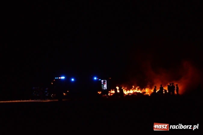 Zdjęcie w galerii na portalu naszraciborz.pl: Plamy substancji ropopochodnej, szerszenie i kolejny pożar  wiadomości z regionu