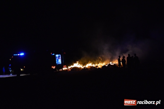 Zdjęcie w galerii na portalu naszraciborz.pl: Plamy substancji ropopochodnej, szerszenie i kolejny pożar  wiadomości z regionu