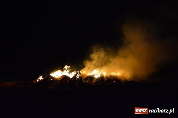 Zdjęcie w galerii na portalu naszraciborz.pl: Plamy substancji ropopochodnej, szerszenie i kolejny pożar  wiadomości z regionu