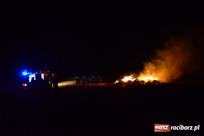 Zdjęcie w galerii na portalu naszraciborz.pl: Plamy substancji ropopochodnej, szerszenie i kolejny pożar  wiadomości z regionu