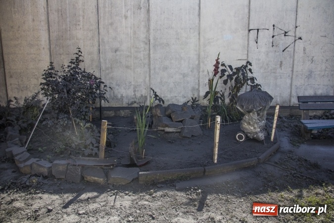 Zdjęcie w galerii na portalu naszraciborz.pl: Rozbiórka starej ciepłowni na Płoni. Ludzie na Fabrycznej toną w pyle i są wściekli wiadomości z regionu