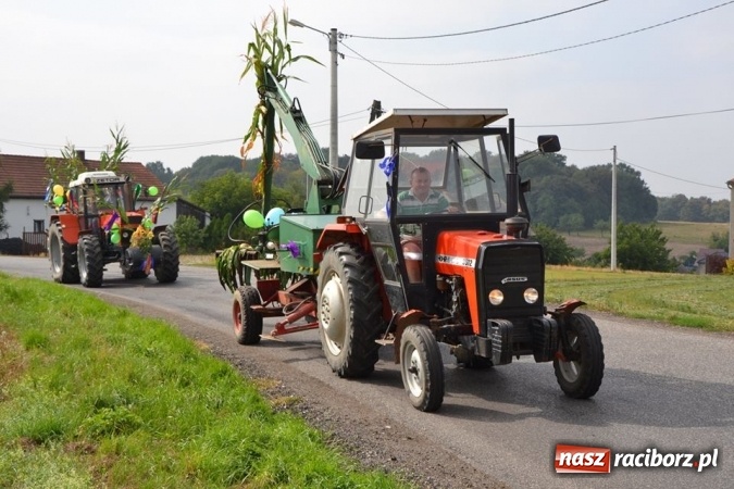 Zdjęcie w galerii na portalu naszraciborz.pl: Dożynki 2015 - w Modzurowie w sobotę wiadomości z regionu