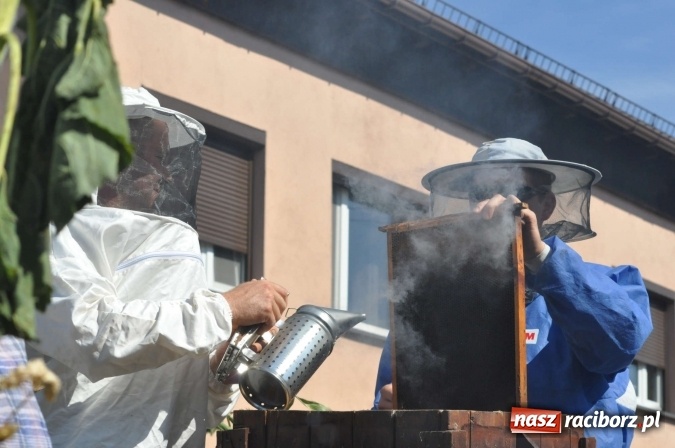 Zdjęcie w galerii na portalu naszraciborz.pl: Dożynki 2015 - w Rudniku z letnim dyngusem wiadomości z regionu