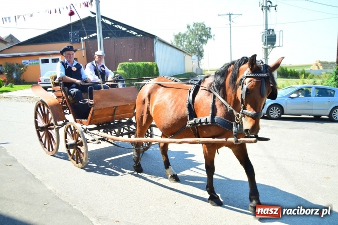 Zdjęcie w galerii na portalu naszraciborz.pl: Dożynki 2015 - w Żerdzinach wyruszli korowodem dziękować Bogu wiadomości z regionu