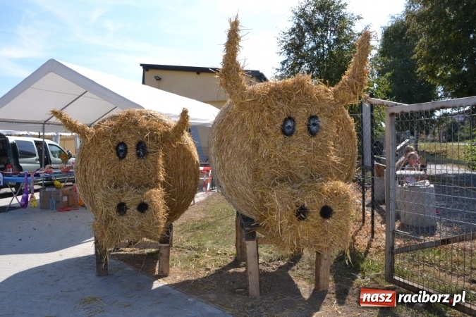 Zdjęcie w galerii na portalu naszraciborz.pl: Dożynki 2015 - Zabełkowianki ładniejsze niż Słowianki wiadomości z regionu