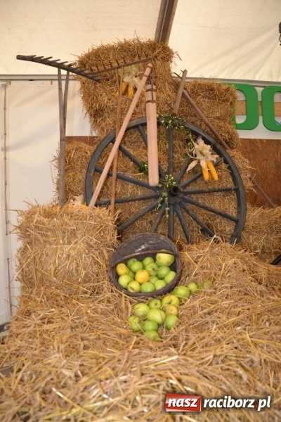 Zdjęcie w galerii na portalu naszraciborz.pl: Dożynki 2015 - Zabełkowianki ładniejsze niż Słowianki wiadomości z regionu