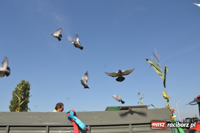 Zdjęcie w galerii na portalu naszraciborz.pl: Dożynki 2015 - Zabełkowianki ładniejsze niż Słowianki wiadomości z regionu