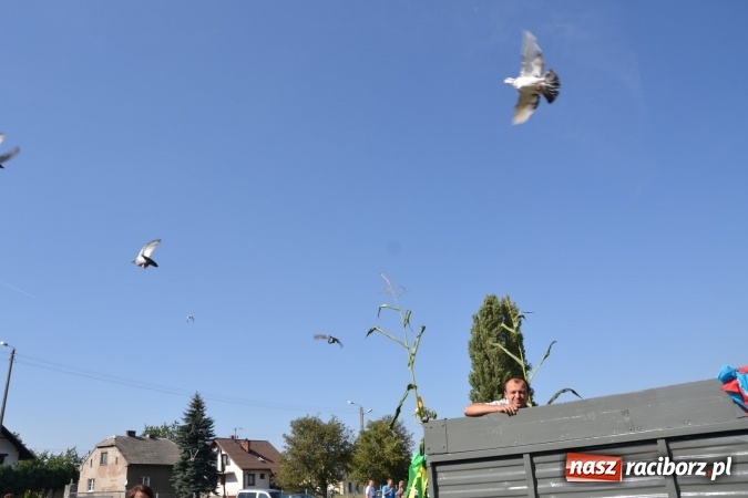 Zdjęcie w galerii na portalu naszraciborz.pl: Dożynki 2015 - Zabełkowianki ładniejsze niż Słowianki wiadomości z regionu