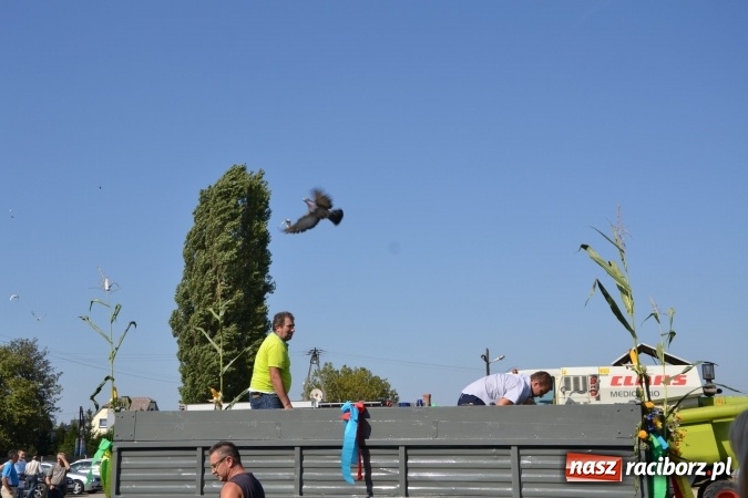 Zdjęcie w galerii na portalu naszraciborz.pl: Dożynki 2015 - Zabełkowianki ładniejsze niż Słowianki wiadomości z regionu