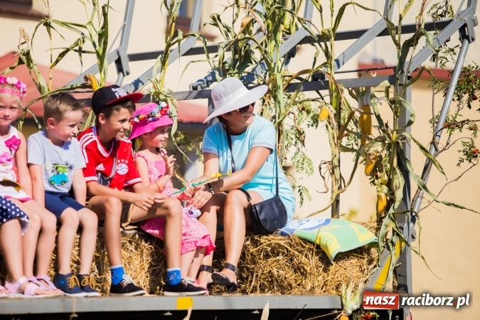 Zdjęcie w galerii na portalu naszraciborz.pl: Dożynki 2015 - w Pietrowicach Wielkich rolnicy dziękowali za zbiory wiadomości z regionu