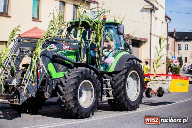Zdjęcie w galerii na portalu naszraciborz.pl: Dożynki 2015 - w Pietrowicach Wielkich rolnicy dziękowali za zbiory wiadomości z regionu