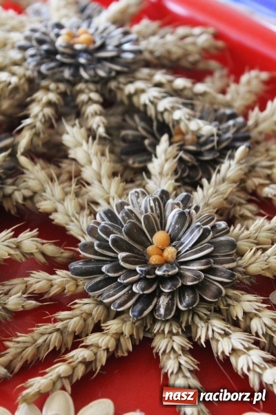 Zdjęcie w galerii na portalu naszraciborz.pl: Dożynki 2015 - w Sławikowie Te Deum za zbiory wiadomości z regionu