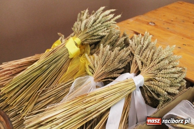 Zdjęcie w galerii na portalu naszraciborz.pl: Dożynki 2015 - w Sławikowie Te Deum za zbiory wiadomości z regionu