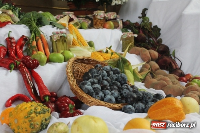Zdjęcie w galerii na portalu naszraciborz.pl: Dożynki 2015 - w Sławikowie Te Deum za zbiory wiadomości z regionu