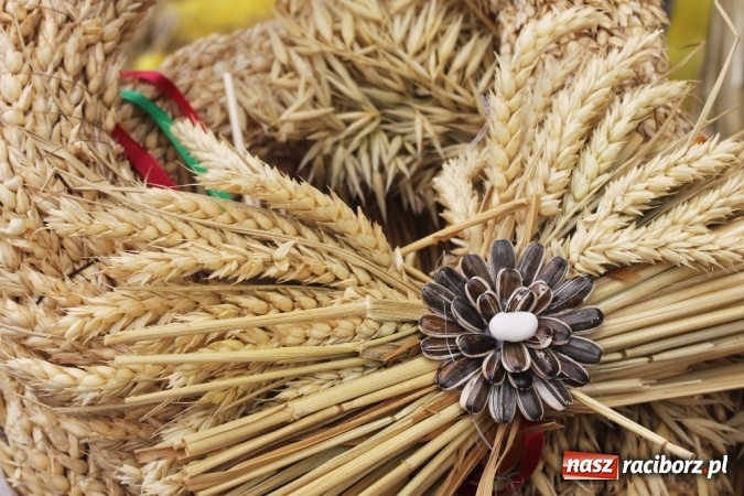 Zdjęcie w galerii na portalu naszraciborz.pl: Dożynki 2015 - w Sławikowie Te Deum za zbiory wiadomości z regionu