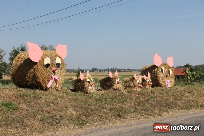 Zdjęcie w galerii na portalu naszraciborz.pl: Dożynki 2015 - w Sławikowie Te Deum za zbiory wiadomości z regionu