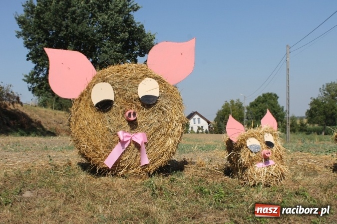 Zdjęcie w galerii na portalu naszraciborz.pl: Dożynki 2015 - w Sławikowie Te Deum za zbiory wiadomości z regionu