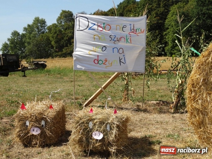 Zdjęcie w galerii na portalu naszraciborz.pl: Dożynki 2015 - Polska Afryka w Rzuchowie wiadomości z regionu