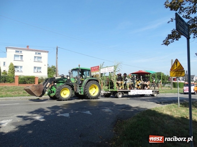 Zdjęcie w galerii na portalu naszraciborz.pl: Dożynki 2015 - Polska Afryka w Rzuchowie wiadomości z regionu