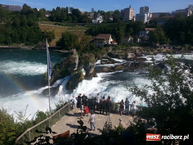 Zdjęcie w galerii na portalu naszraciborz.pl: Ekipa MKZ Unia Racibórz wróciła ze zgrupowania w niemieckim Singen wiadomości z regionu
