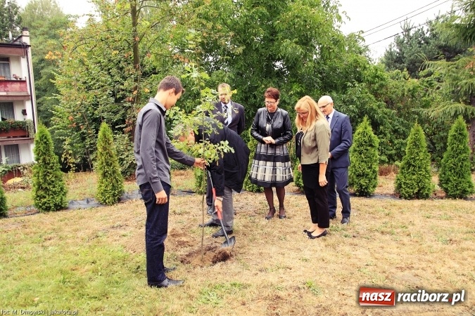 Zdjęcie w galerii na portalu naszraciborz.pl: Krzanowice rozpoczęły świętowanie 750-lecia miasta wiadomości z regionu