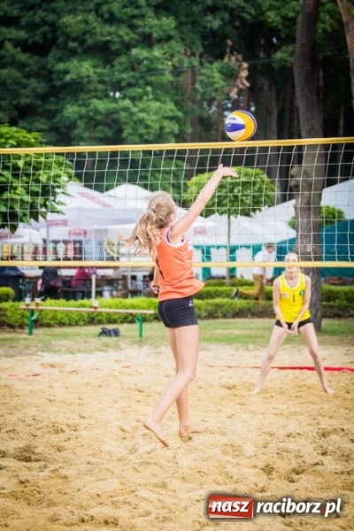 Zdjęcie w galerii na portalu naszraciborz.pl: Piknik rodzinny pracowników Rafako wiadomości z regionu