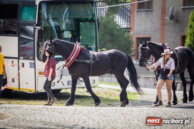 Zdjęcie w galerii na portalu naszraciborz.pl: Piknik rodzinny pracowników Rafako wiadomości z regionu
