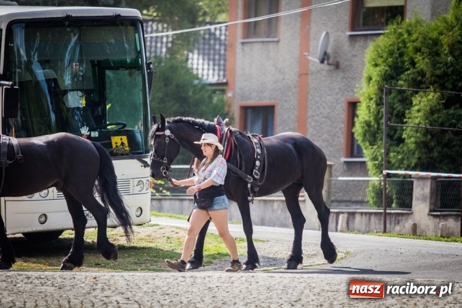 Zdjęcie w galerii na portalu naszraciborz.pl: Piknik rodzinny pracowników Rafako wiadomości z regionu