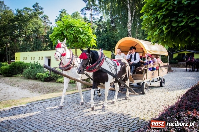 Zdjęcie w galerii na portalu naszraciborz.pl: Piknik rodzinny pracowników Rafako wiadomości z regionu
