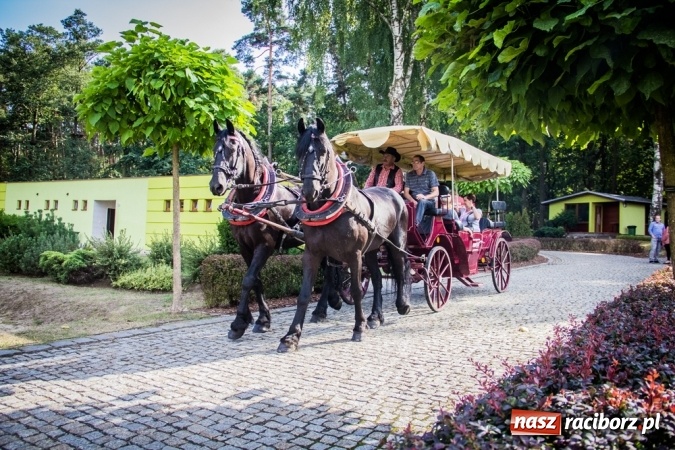Zdjęcie w galerii na portalu naszraciborz.pl: Piknik rodzinny pracowników Rafako wiadomości z regionu