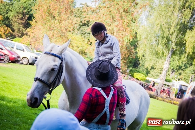 Zdjęcie w galerii na portalu naszraciborz.pl: Piknik rodzinny pracowników Rafako wiadomości z regionu