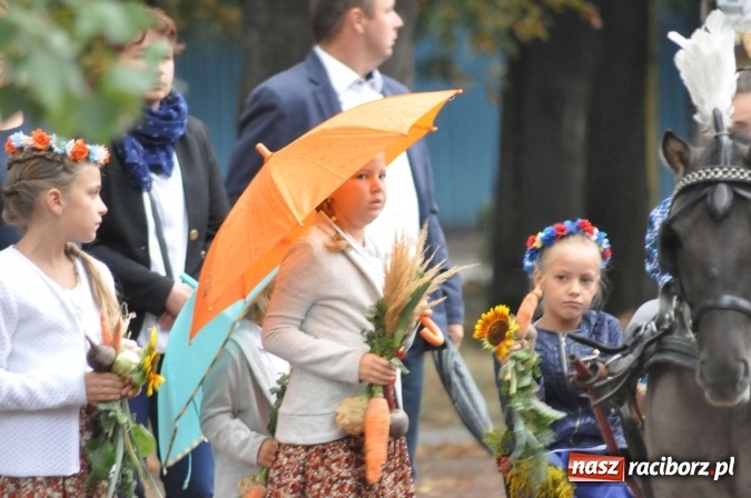 Zdjęcie w galerii na portalu naszraciborz.pl: Dożynki 2015 - na Płoni z korowodem wiadomości z regionu