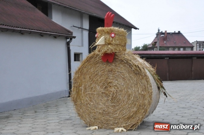 Zdjęcie w galerii na portalu naszraciborz.pl: Dożynki 2015 - na Płoni z korowodem wiadomości z regionu