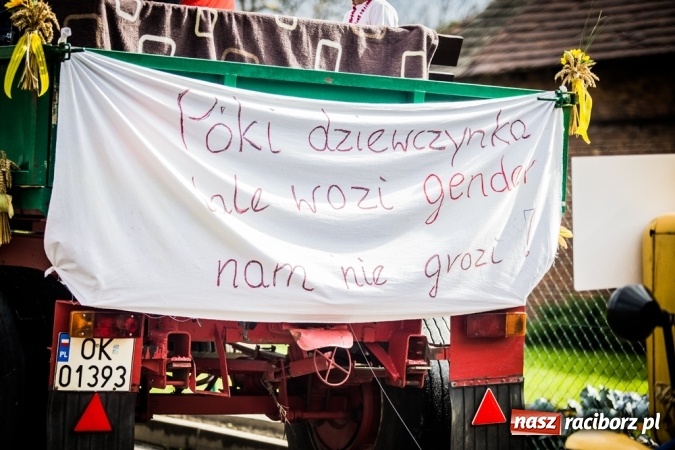 Zdjęcie w galerii na portalu naszraciborz.pl: Dożynki 2015 - barwny korowód w Krowiarkach wiadomości z regionu