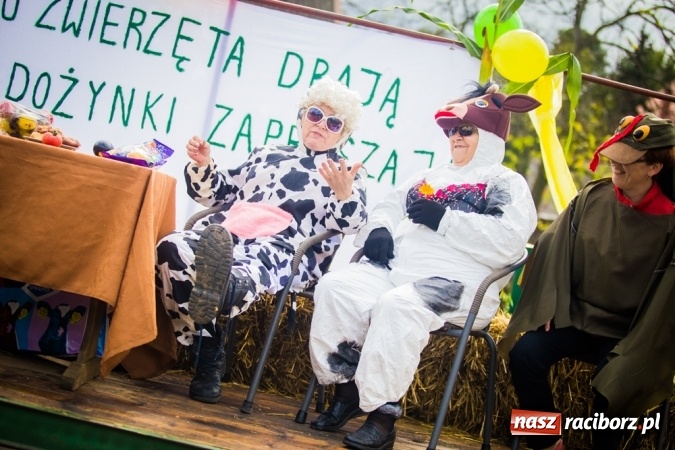 Zdjęcie w galerii na portalu naszraciborz.pl: Dożynki 2015 - barwny korowód w Krowiarkach wiadomości z regionu