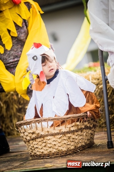 Zdjęcie w galerii na portalu naszraciborz.pl: Dożynki 2015 - barwny korowód w Krowiarkach wiadomości z regionu