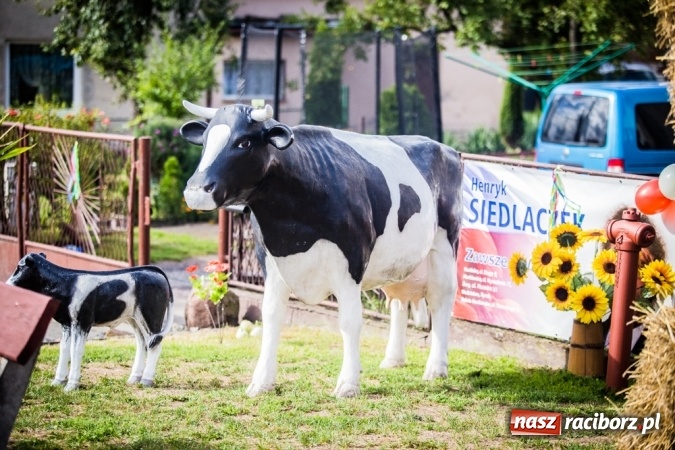 Zdjęcie w galerii na portalu naszraciborz.pl: Dożynki 2015 - barwny korowód w Krowiarkach wiadomości z regionu