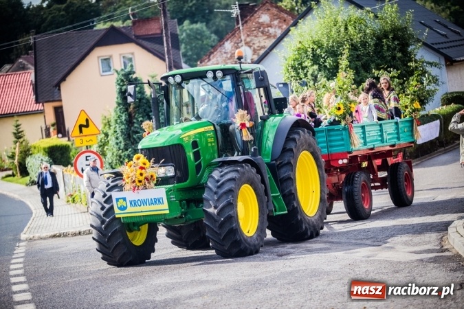 Zdjęcie w galerii na portalu naszraciborz.pl: Dożynki 2015 - barwny korowód w Krowiarkach wiadomości z regionu