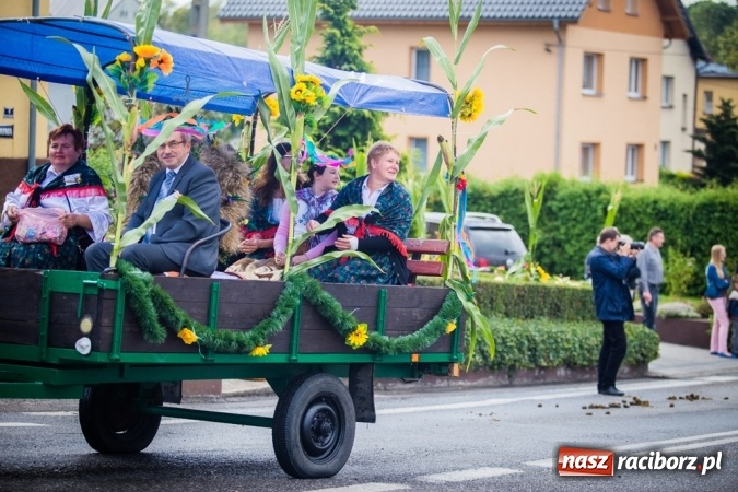 Zdjęcie w galerii na portalu naszraciborz.pl: Dożynki 2015 - barwny korowód w Krowiarkach wiadomości z regionu