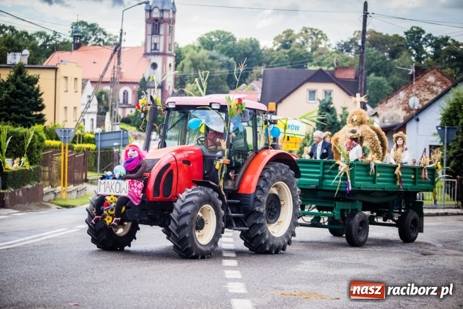 Zdjęcie w galerii na portalu naszraciborz.pl: Dożynki 2015 - barwny korowód w Krowiarkach wiadomości z regionu