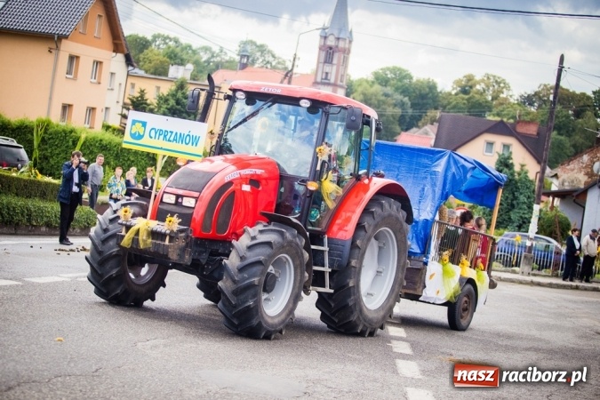 Zdjęcie w galerii na portalu naszraciborz.pl: Dożynki 2015 - barwny korowód w Krowiarkach wiadomości z regionu