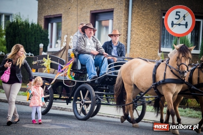 Zdjęcie w galerii na portalu naszraciborz.pl: Dożynki 2015 - barwny korowód w Krowiarkach wiadomości z regionu