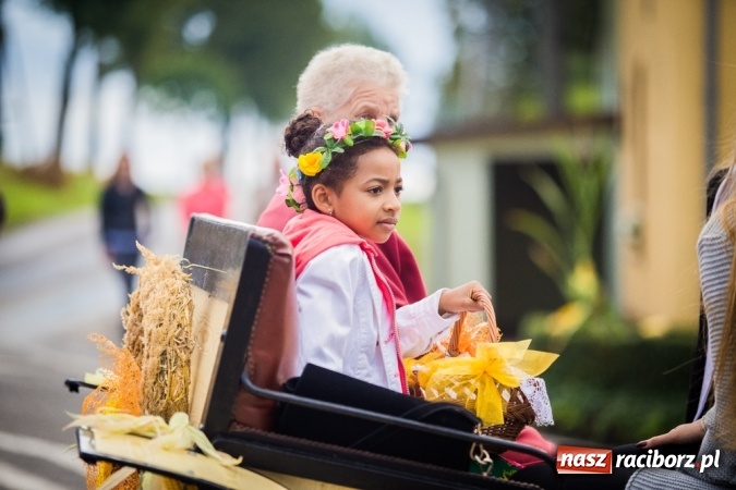 Zdjęcie w galerii na portalu naszraciborz.pl: Dożynki 2015 - barwny korowód w Krowiarkach wiadomości z regionu