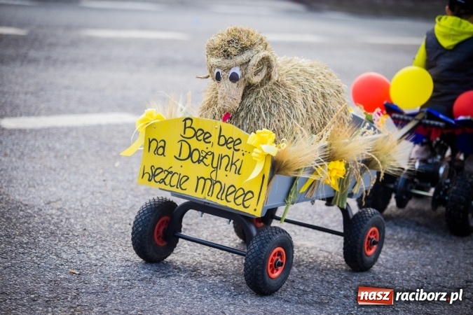 Zdjęcie w galerii na portalu naszraciborz.pl: Dożynki 2015 - barwny korowód w Krowiarkach wiadomości z regionu