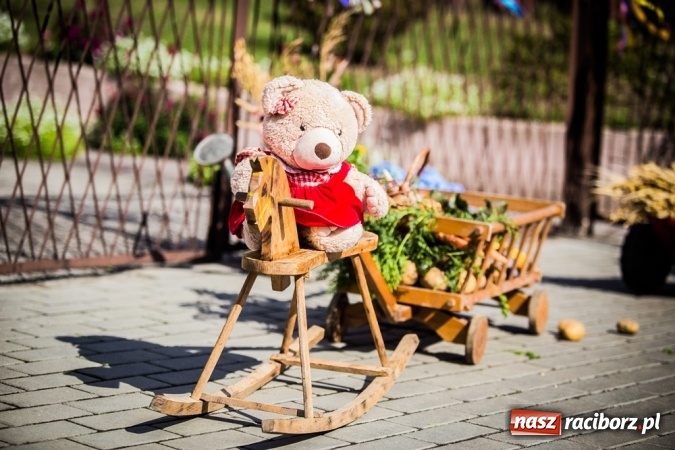 Zdjęcie w galerii na portalu naszraciborz.pl: Dożynki 2015 - barwny korowód w Krowiarkach wiadomości z regionu