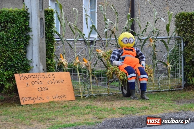 Zdjęcie w galerii na portalu naszraciborz.pl: Dożynki 2015 - powiat dziękuje za plony w Siedliskach wiadomości z regionu